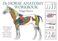 the horse anatomy workbook by maggie raynor