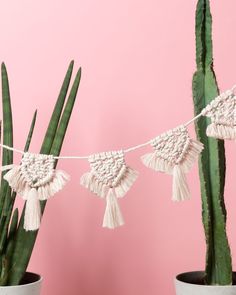 there are tassels hanging from a rope on a cactus plant with the words makrame - garlande selber machen