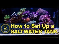 an aquarium with the words how to set up a saltwater tank in yellow text