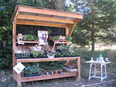 an outdoor garden stand with potted plants on top and shelves full of seeding supplies