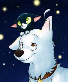 a cat sitting on top of a white dog's head in the night sky