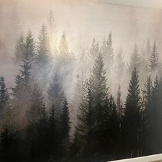 there is a wall mural with trees in the middle and foggy sky behind it