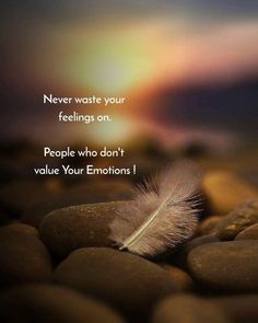 a feather resting on some rocks with a sunset in the background and a quote that says never waste your feelings on people who don't value your emotions