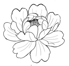 a black and white drawing of a flower