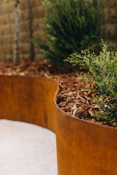 there is a plant in the middle of this garden bed, and it's brown color