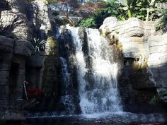 there is a waterfall in the middle of some rocks and plants on the other side