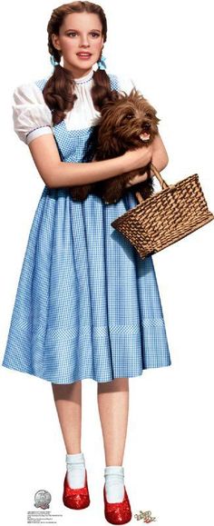 a woman in a blue dress holding a brown dog and wicker basket with red shoes