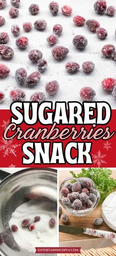 Sugared Cranberries Snack Recipe | Easy Recipes