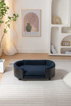 a dog bed in the middle of a living room with bookshelves and plants