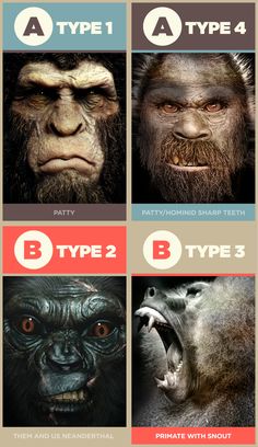 four different types of gorillas with their mouths open and the words'type 4, 5