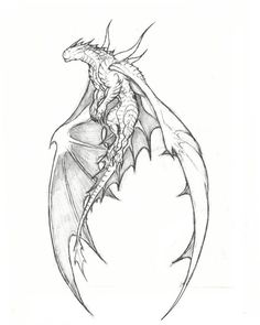 a drawing of a dragon sitting on top of an egg