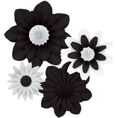 three black and white flowers on a white background