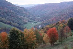 a scenic view of a valley with trees in the foreground