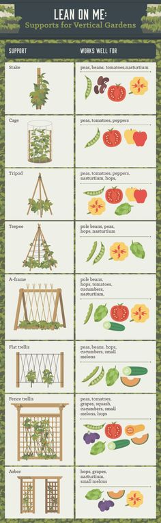 an illustrated poster showing the different types of vegetables and how to use them for gardening