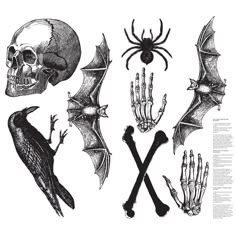 an image of bats and skulls