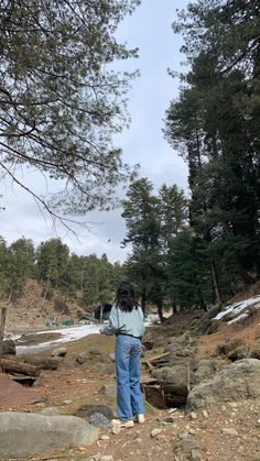 a woman standing on top of a rocky hillside next to a pine tree filled forest