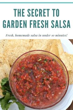 the secret to garden fresh salsa is that it's made in under 10 minutes