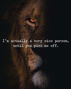 a lion's face with the words i actually a very nice person, until you piss me off