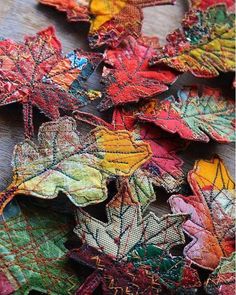 colorful autumn leaves are arranged on a table top, including one with green and yellow leaves