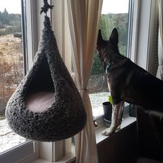 Gray cat hammock hanging from the ceiling in front of a window, with a border/husky dog standing in the window in the back Crochet Cat Nest, Crochet Cat Hammock, Diy Cat Hammock, Diy Pet Toys, Fluffy Yarn