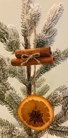 an ornament hanging from a christmas tree decorated with cinnamon and orange slices