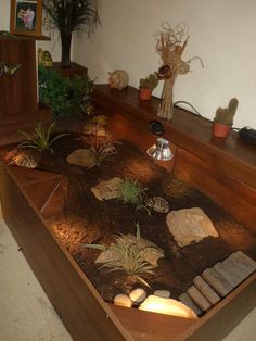 a table with rocks and plants on it in a room that has a wooden shelf