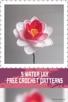 a crocheted flower with the text, 5 water lily free crochet patterns