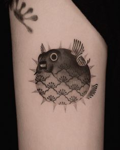 a black and white photo of a fish with spikes on it's back arm