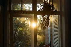 the sun shines through an open window with plants in front of it on a windowsill