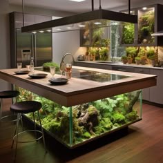 a kitchen with an aquarium in the center