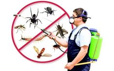 pest control Garden Pest Control