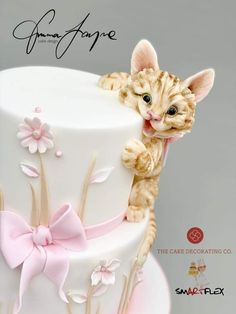 a cat sitting on top of a white cake with pink flowers and ribbons around it