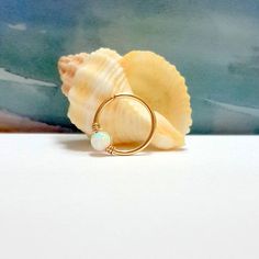 a shell with a ring on top of it