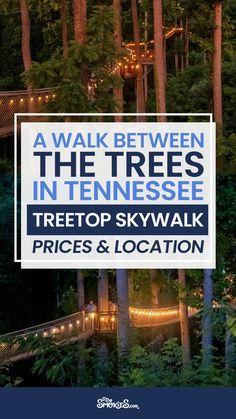 a sign that says, a walk between the trees in tennessee treetop skywalk prices & location