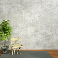 a chair sitting next to a potted plant on top of a rug in front of a wall