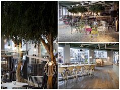 several different pictures of tables and chairs in a room with wooden floors, windows, and trees