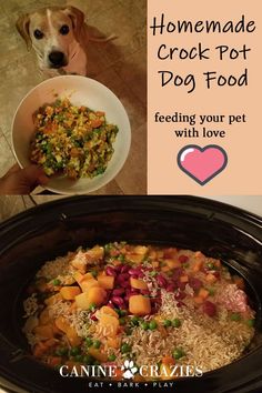 a dog is eating food out of a crock pot with the words homemade crock pot dog food feeding your pet with love