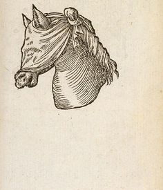 an old drawing of a horse's head with a cloth covering on its face