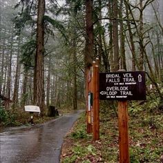 a trail sign in the middle of a forest