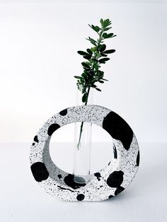 a black and white vase with a plant in it