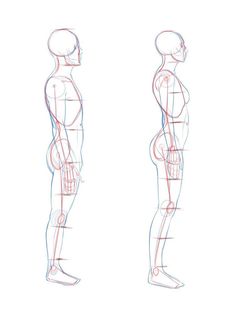 the human figure is shown in three different positions, including the back and side view