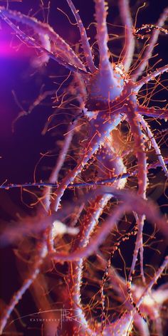 the branches of a tree are lit up with purple and red lights in the background