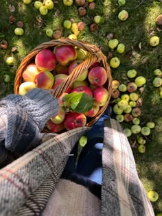 an overhead view of a person holding a basket of apples in the grass with their feet up