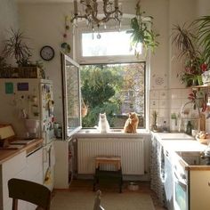 two cats are sitting in the kitchen window sill