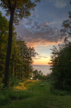 the sun is setting over the water in the woods by the shore with trees on both sides