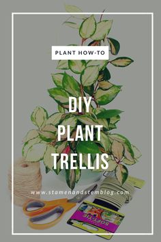 a potted plant with scissors and thread next to it that says diy plant trellis