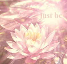 a pink water lily with the words just be above it in front of some leaves