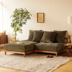 a living room scene with focus on the couch and pillows, rugs and a potted plant