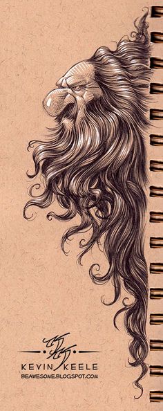 a drawing of a lion's head with long, curly hair on top of it