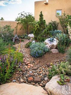 an outdoor garden with rocks and plants